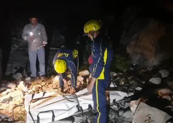 हादसा : देर रात पिकअप वाहन हुआ दुर्घटनाग्रस्त, दो की मौत