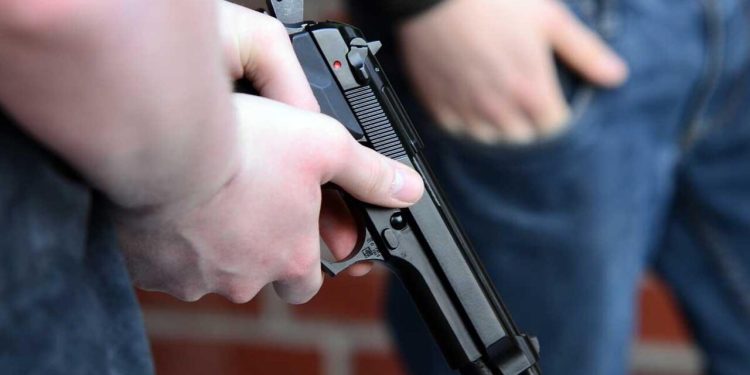 सचिवालय : उपनल कर्मचारी ने अनु सचिव पर तानी दी बंदूक, फिर हुआ यह…