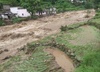 ब्रेकिंग : चमोली जनपद में फटा बादल, कई हेक्टेयर में धान की फसल बर्बाद