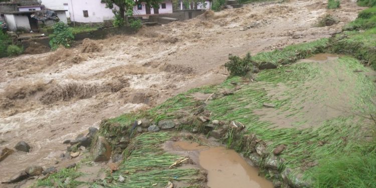 ब्रेकिंग : चमोली जनपद में फटा बादल, कई हेक्टेयर में धान की फसल बर्बाद