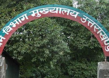 वन विभाग घोटाला : उत्तराखंड में जंगलराज, फल फूल रहा भ्रष्टाचार, सिस्टम लाचार