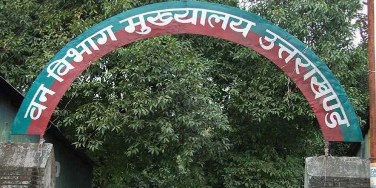वन विभाग घोटाला : उत्तराखंड में जंगलराज, फल फूल रहा भ्रष्टाचार, सिस्टम लाचार