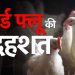 बड़ी खबर : यहां मुर्गियों में बर्ड फ्लू की पुष्टि, 1708 मुर्गियों को मार कर गहरे गड्ढे में दफनाया