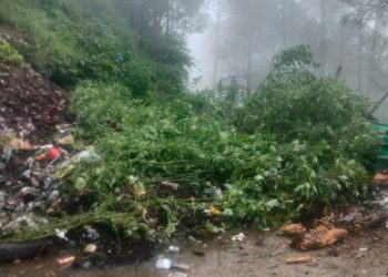 रुद्रप्रयाग : मायली-तिलवाड़ा मोटरमार्ग पर मौसम की मार, सड़क के दोनों ओर वाहनों की लंबी कतार