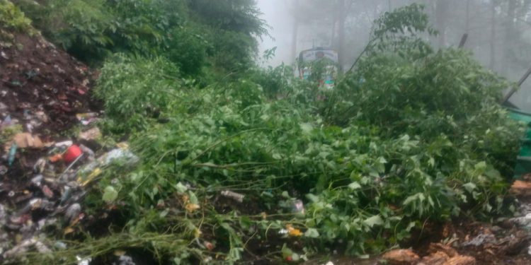 रुद्रप्रयाग : मायली-तिलवाड़ा मोटरमार्ग पर मौसम की मार, सड़क के दोनों ओर वाहनों की लंबी कतार