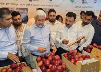 अच्छी खबर : गढ़वाल के सेब की दुबई में भारी डिमांड, 1.2 मेट्रिक टन सेब दुबई रवाना