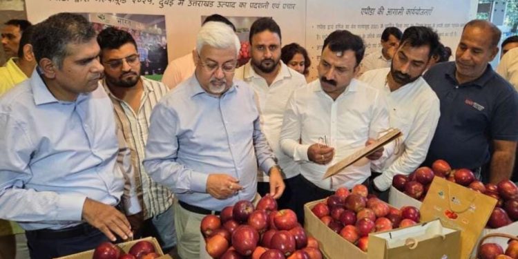 अच्छी खबर : गढ़वाल के सेब की दुबई में भारी डिमांड, 1.2 मेट्रिक टन सेब दुबई रवाना