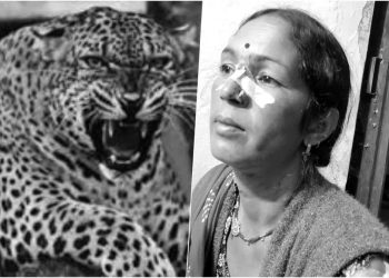 रुद्रप्रयाग : बसु केदार की महिला गुलदार के हमले में गंभीर रूप से घायल, सुनपट है वन विभाग