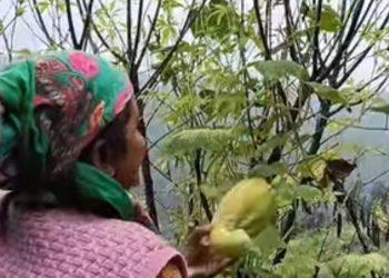 सनसनीखेज खुलासा :एक चतुर नार बड़ी होशियार, गांव के परिवार को किया गांव छोड़ने पर मजबूर