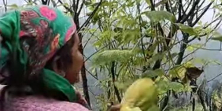 सनसनीखेज खुलासा :एक चतुर नार बड़ी होशियार, गांव के परिवार को किया गांव छोड़ने पर मजबूर