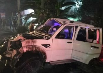 दुखद : बारातियों से भरी स्कॉर्पियो खाई में गिरी, तीन की दर्दनाक मौत