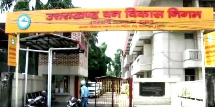 गजब : चाय मिठाई बांटने के नाम पर वन विकास निगम में लाखों का घोटाला