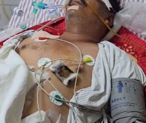 बदहाल सुशीला तिवारी अस्पताल : मरीज के बिस्तर पर रेंग रही चीटियां, आईसीयू वार्ड तक पहुंचे बंदर