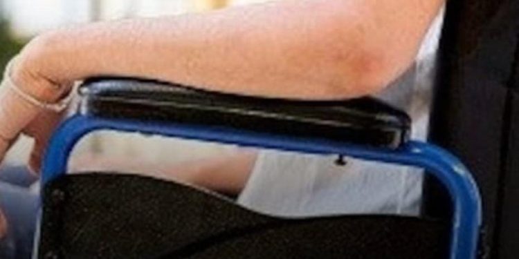 गजब : फर्जी दिव्यांग प्रमाण पत्र लगाकर शिक्षा विभाग में 51 शिक्षक पा गए नियुक्ति