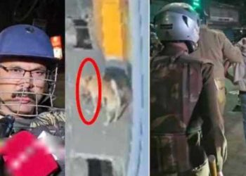 बड़ी खबर : गोमांस मिलने पर बवाल, कई दुकानों में तोड़फोड़ और पथराव