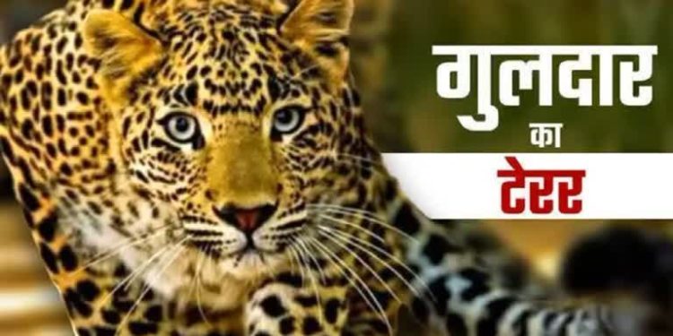 आदमखोर : आंगनबाड़ी केंद्र से लौट रहे 4 वर्षीय बालक पर गुलदार का हमला