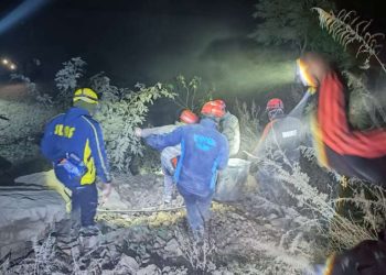 रुद्रप्रयाग : सीमेंट से भरा ट्रक गिरा खाई में, चालक की मौके पर ही मौत