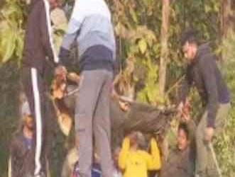 दुखद : जंगल में लकड़ी लेने गए बुजुर्ग को हाथी ने रौंदा, दर्दनाक मौत