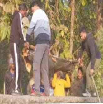 दुखद : जंगल में लकड़ी लेने गए बुजुर्ग को हाथी ने रौंदा, दर्दनाक मौत