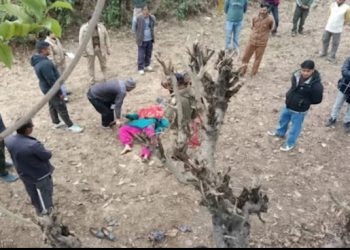 रुद्रप्रयाग : हाई टेंशन बिजली लाइन की चपेट में आने से महिला की मौत, डीएम ने दिए मजिस्ट्रेट जांच के आदेश