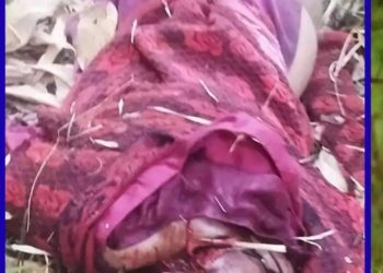 दुखद : यहां बाघ के हमले में महिला की मौत , 24 घंटे बाद मिला शव