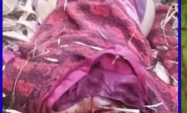 दुखद : यहां बाघ के हमले में महिला की मौत , 24 घंटे बाद मिला शव