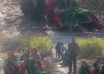 ब्रेकिंग : अब यहां भालू के हमले में महिला गंभीर घायल