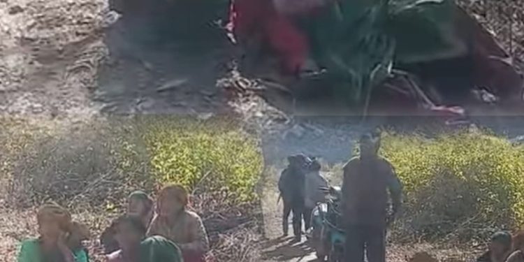 ब्रेकिंग : अब यहां भालू के हमले में महिला गंभीर घायल