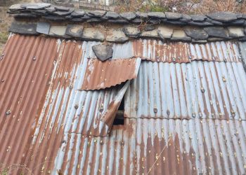 जंगली जानवरों की दहशत बरकरार : अब यहां भालू ने गौशाला की छत उखाड़ी, कुत्तों के भौंकने पर भाग खड़ा हुआ