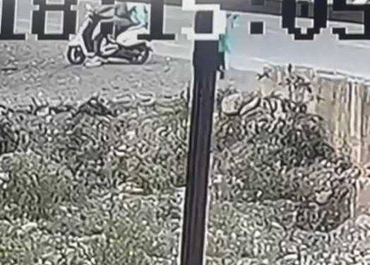 देखें वीडियो : मामूली विवाद के बाद कार से कुचलने की कोशिश