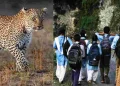 दहशत : यहां विद्यालय में प्रार्थना के दौरान पहुंचे दो गुलदार, आनन-फानन में 2 दिन का अवकाश घोषित