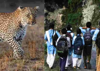 दहशत : यहां विद्यालय में प्रार्थना के दौरान पहुंचे दो गुलदार, आनन-फानन में 2 दिन का अवकाश घोषित