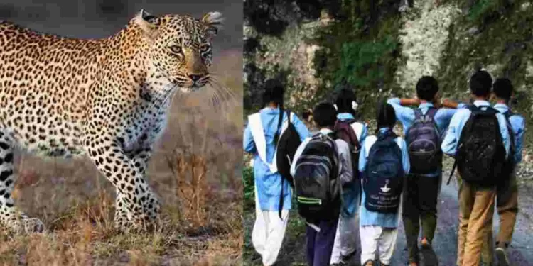 दहशत : यहां विद्यालय में प्रार्थना के दौरान पहुंचे दो गुलदार, आनन-फानन में 2 दिन का अवकाश घोषित