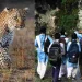 दहशत : यहां विद्यालय में प्रार्थना के दौरान पहुंचे दो गुलदार, आनन-फानन में 2 दिन का अवकाश घोषित