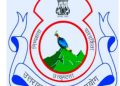 गजब : धूम धूम धाकड़ धामी, फिर एक और भर्ती परीक्षा स्थगित