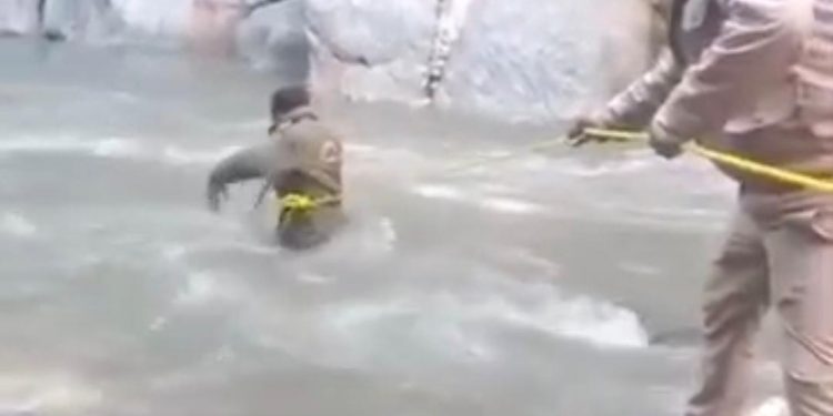 देखें वीडियो: केदारनाथ यात्रा मार्ग पर रुद्रप्रयाग पुलिस बनी देवदूत, गहरी खाई में गिरे नेपाली यात्री की बचाई जान
