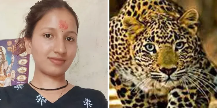 ब्रेकिंग : चंपावत के सिमल्टा गांव में घर में घुसकर गुलदार ने किया हमला, बेटी ने बहादुरी से बचाई पिता की जान