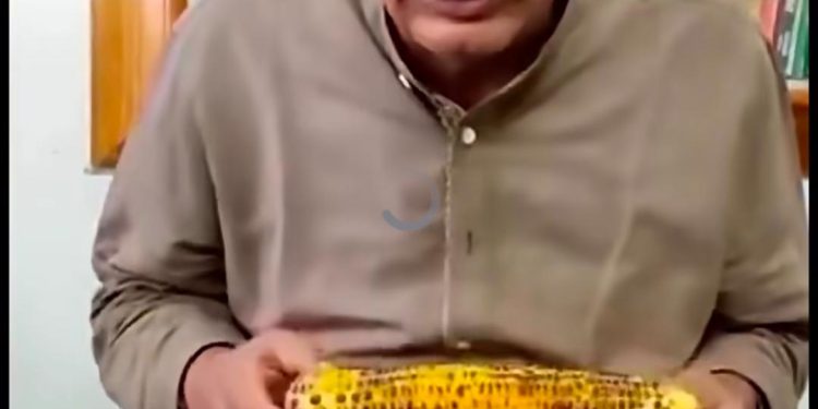 गजब : टिहरी मेडिकल कॉलेज का इंतजार अब भी लंबा, विधायक किशोर उपाध्याय के हाथ युवाओं ने पकड़ाई ‘भुनी मुंगरी’