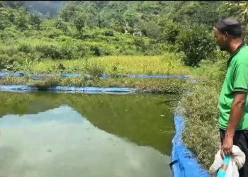 सराहनीय : पहाड़ में स्वरोजगार की मिसाल बने पाबौ के राजेंद्र चमोली, सा मछली तालाबों से सालाना 3 लाख की बचत