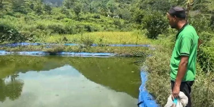 सराहनीय : पहाड़ में स्वरोजगार की मिसाल बने पाबौ के राजेंद्र चमोली, सा मछली तालाबों से सालाना 3 लाख की बचत