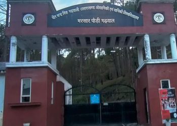 हाईकोर्ट का बड़ा फैसला : वानिकी विश्वविद्यालय के असिस्टेंट प्रोफेसर की नियुक्ति रद्द