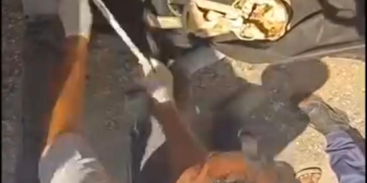 देहरादून ब्रेकिंग : कंकाल मिलने से फैली सनसनी, ग्राफिक एरा कॉलेज का लापता छात्र शारिक का कंकाल बरामद